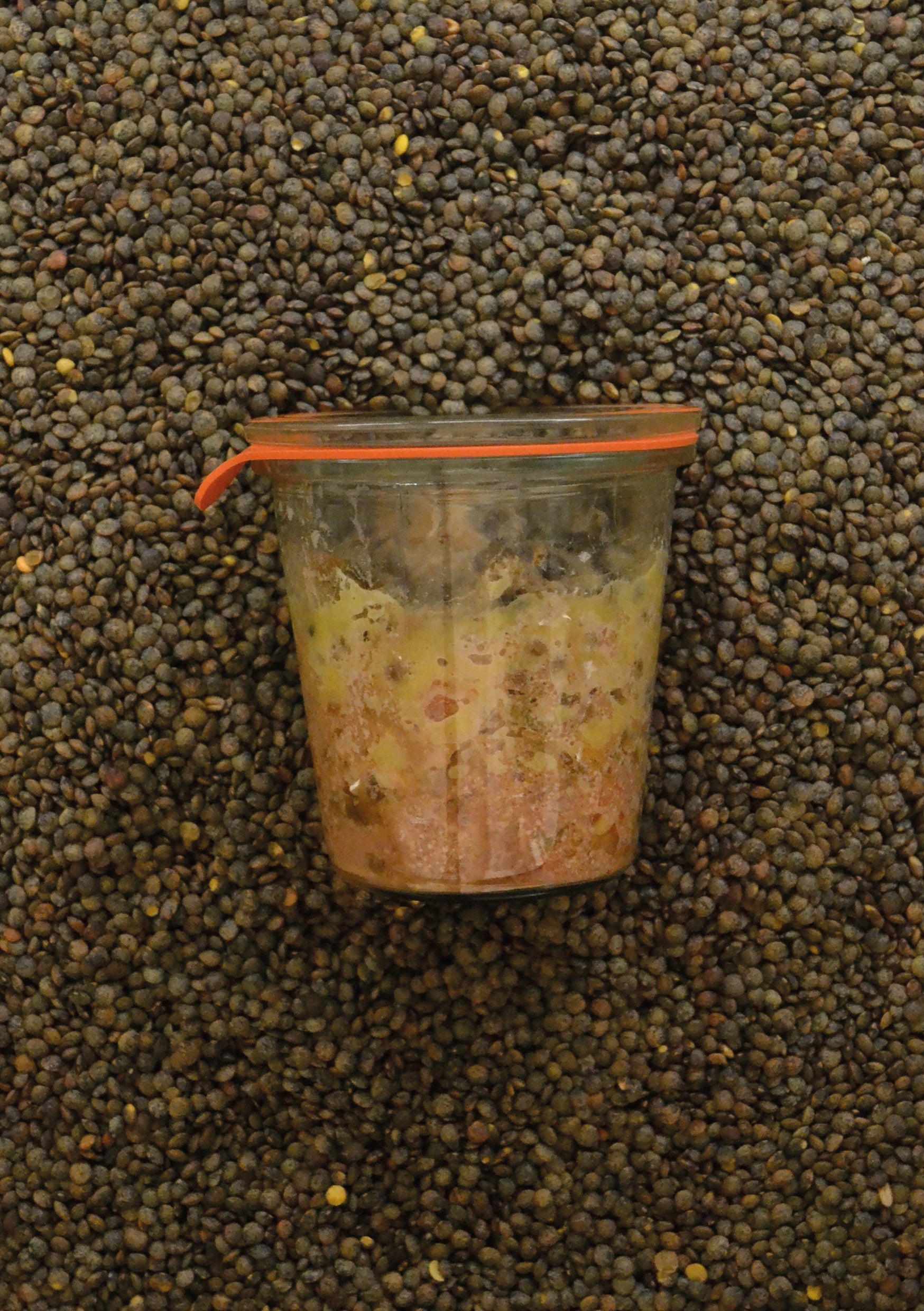 Terrine de Petit Salé aux Lentilles Vertes du Puy en Velay