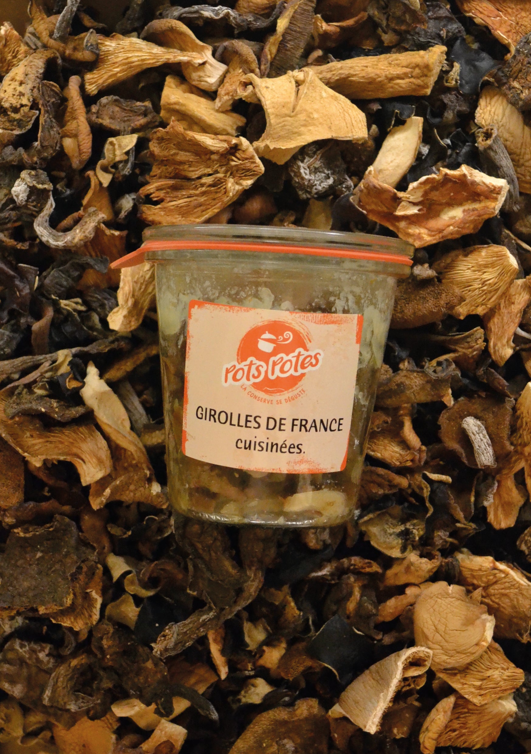 Girolles de France