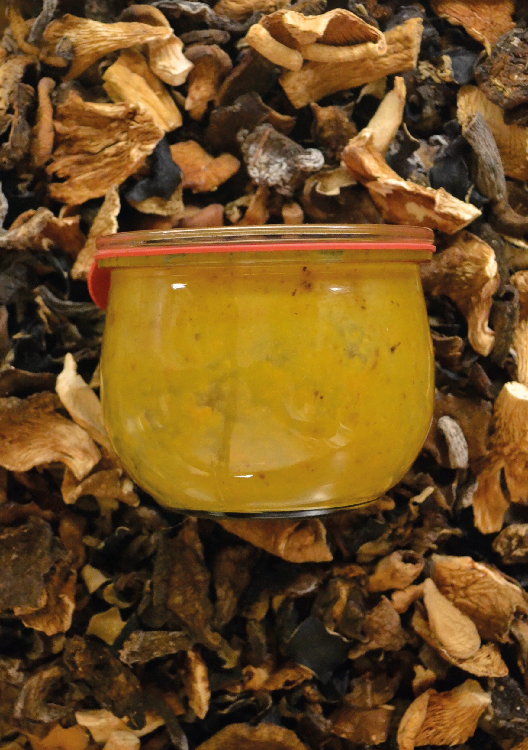 Velouté de Courge, Marrons et Girolles