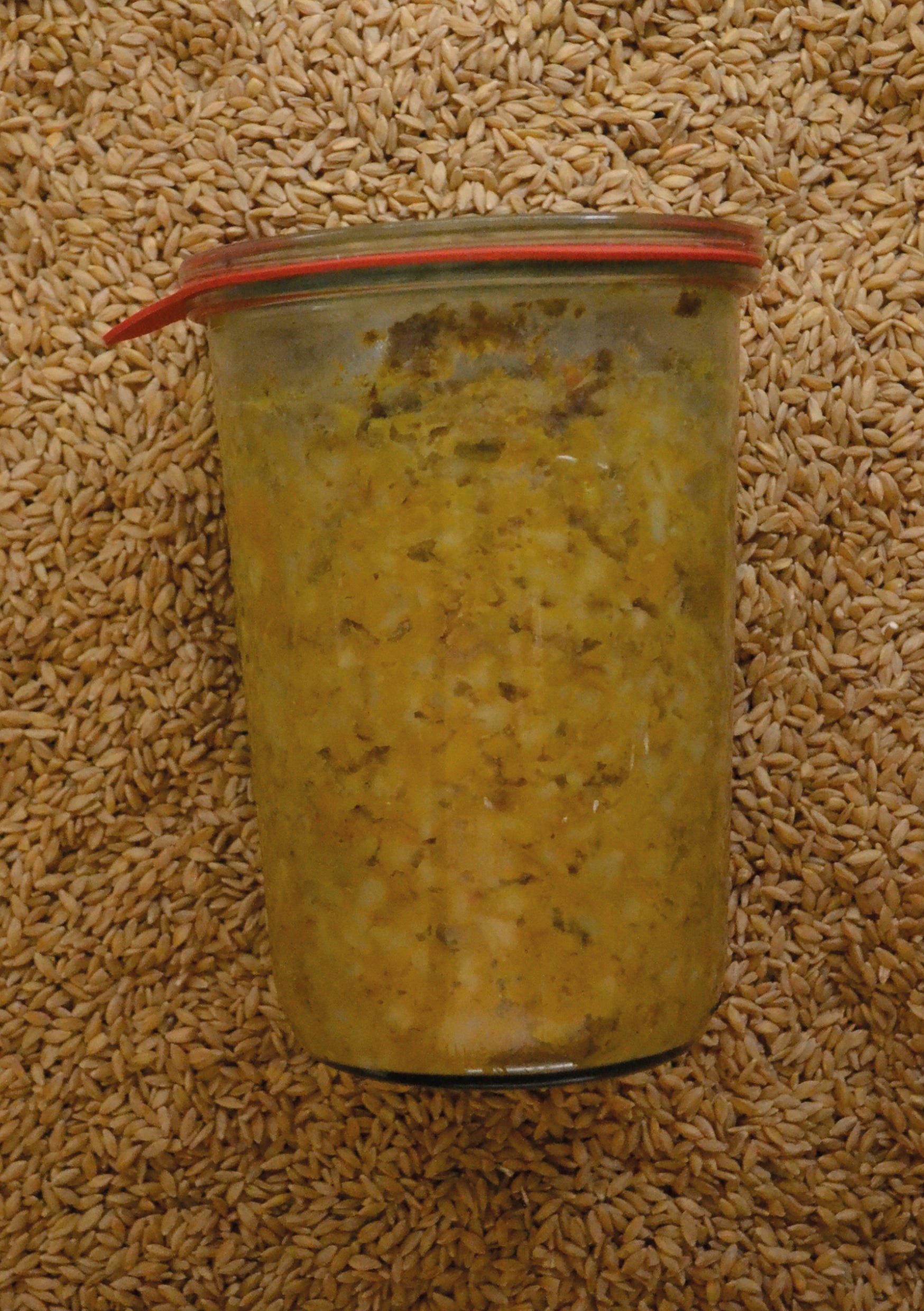 Risotto de Petit Épeautre aux Girolles