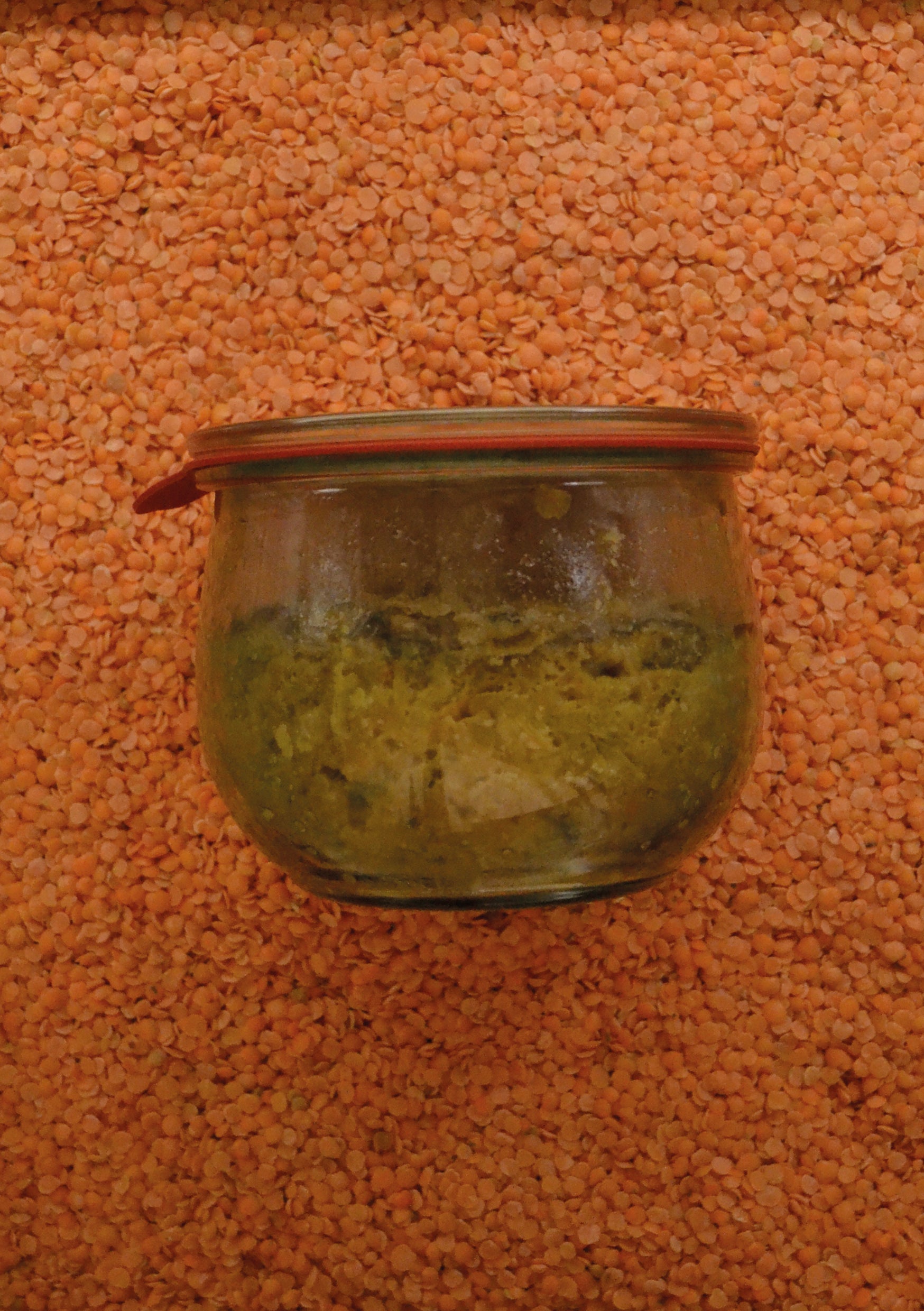 Dahl de Lentilles Corail - Curcuma