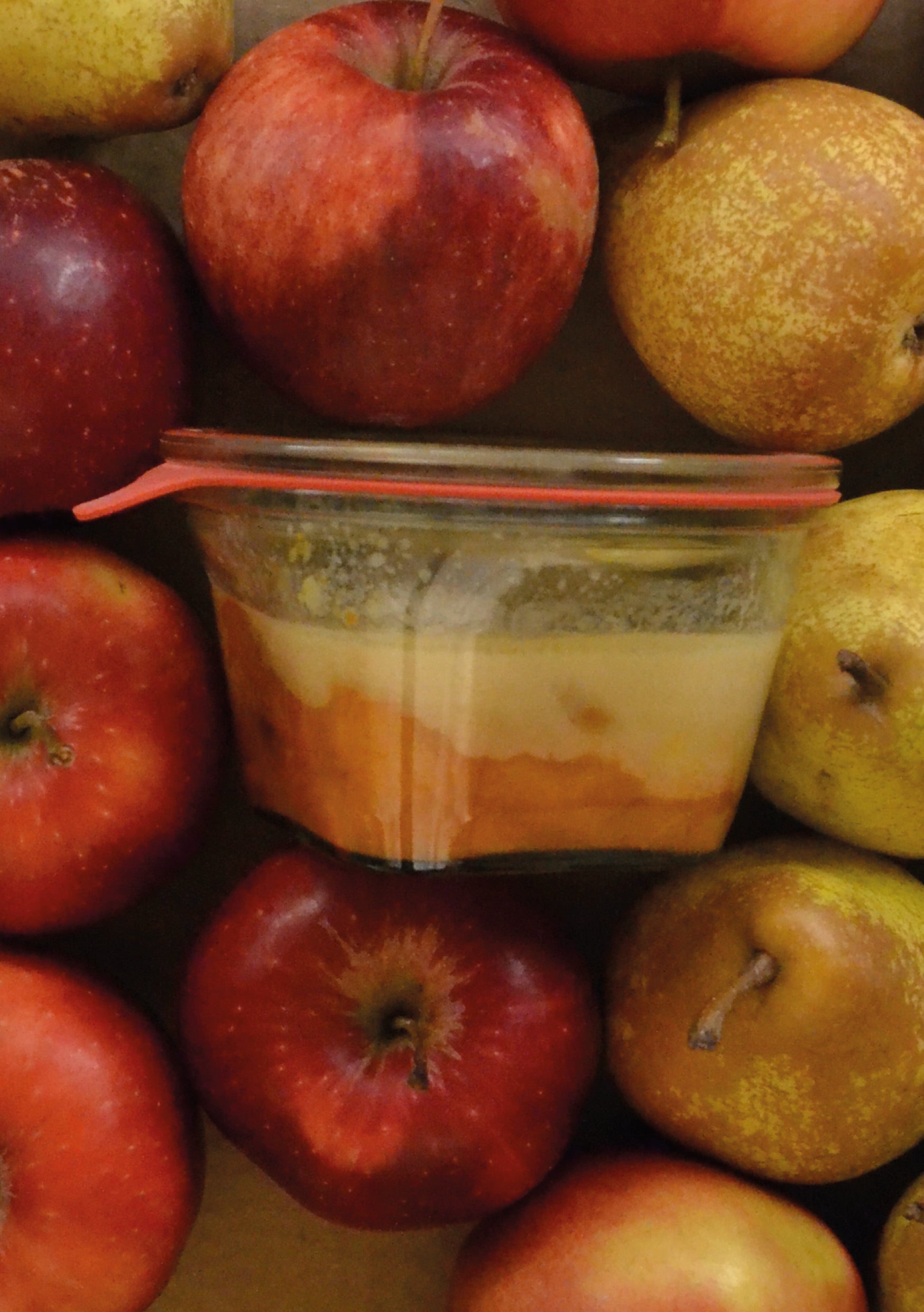 Clafoutis aux Abricots Rôtis