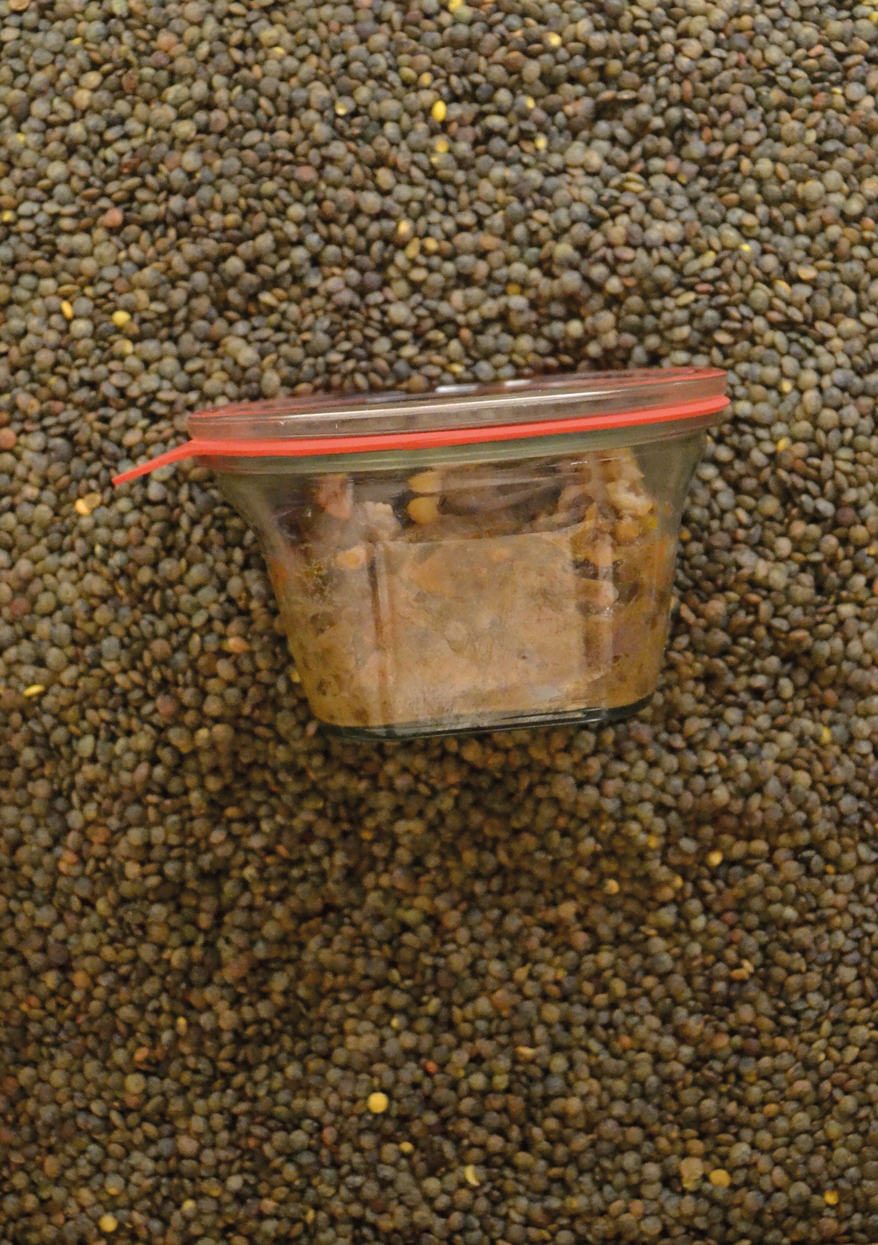 Salade Lentilles Vertes - Cochonailles