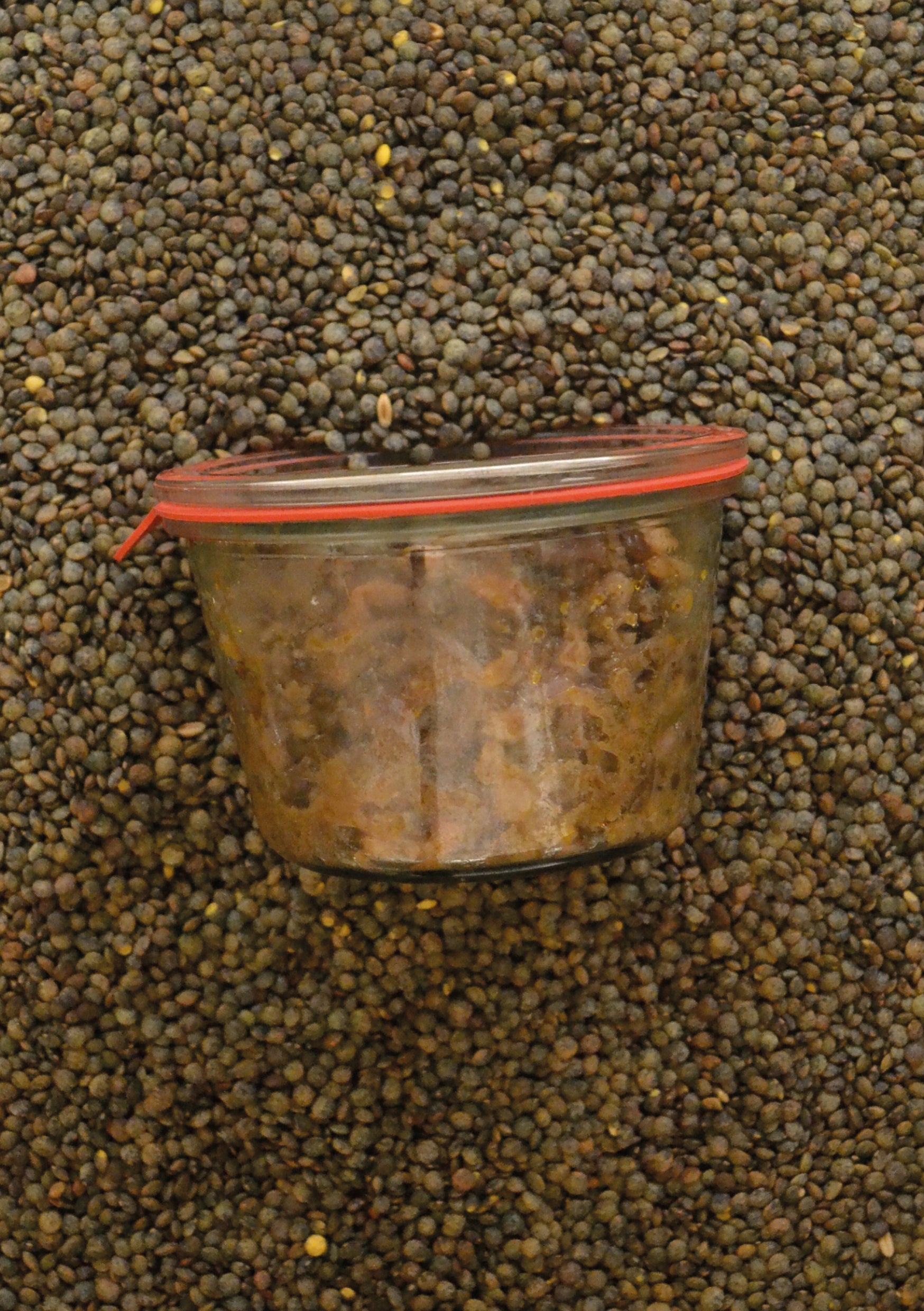 Salades de Lentilles du Puy - Trio de Poisson