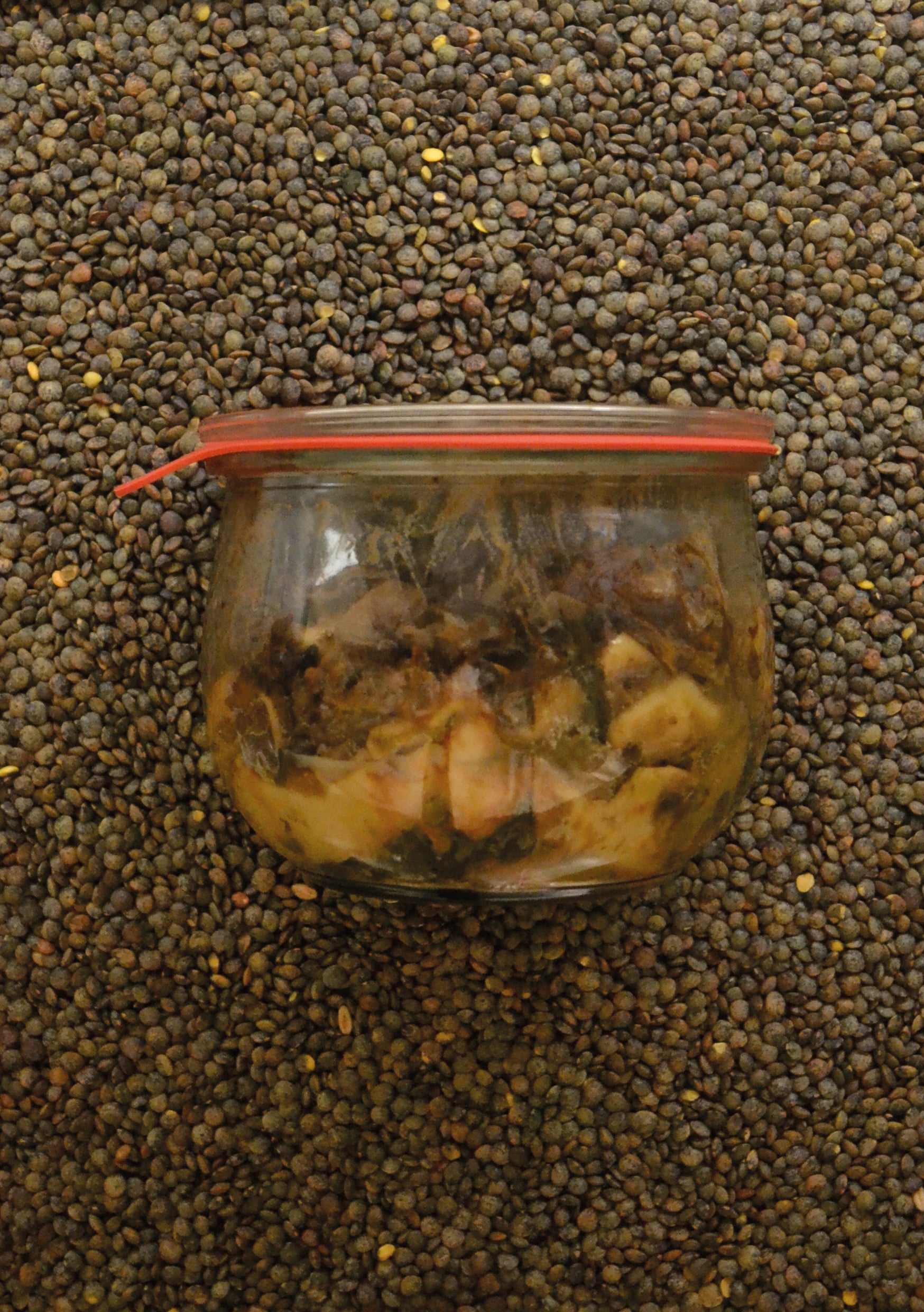 Lasagnes aux Lentilles Vertes du Puy en Velay