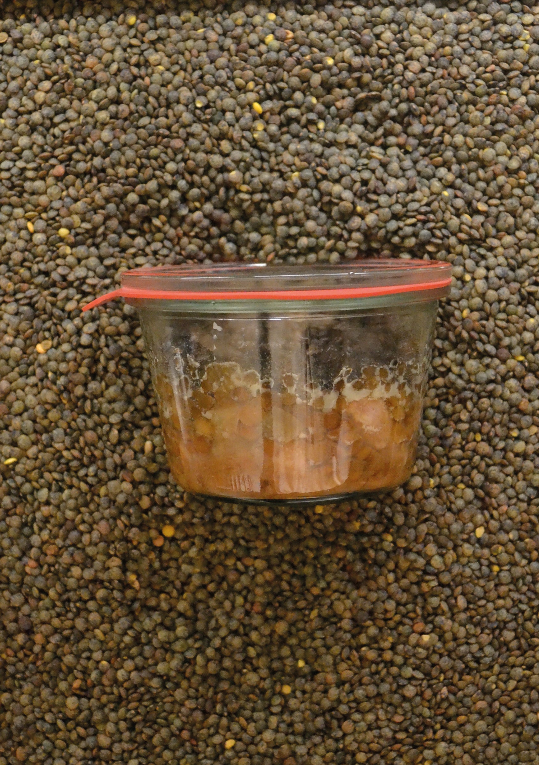 Saucisses Lentilles Vertes du Puy en Velay